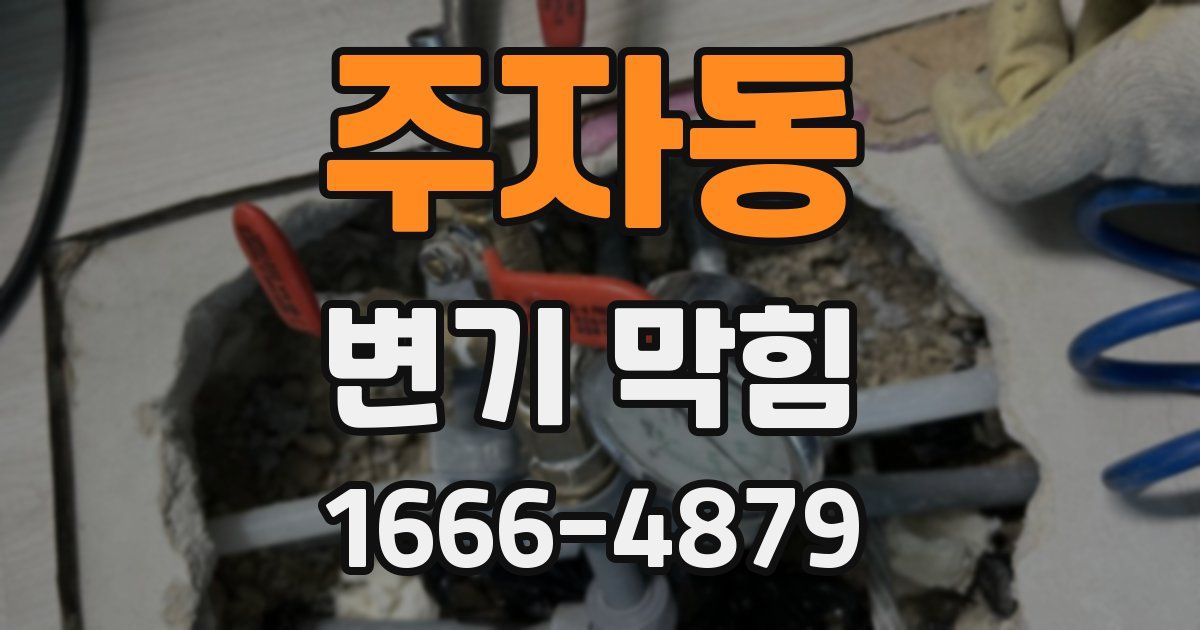 주자동 변기 막힘
