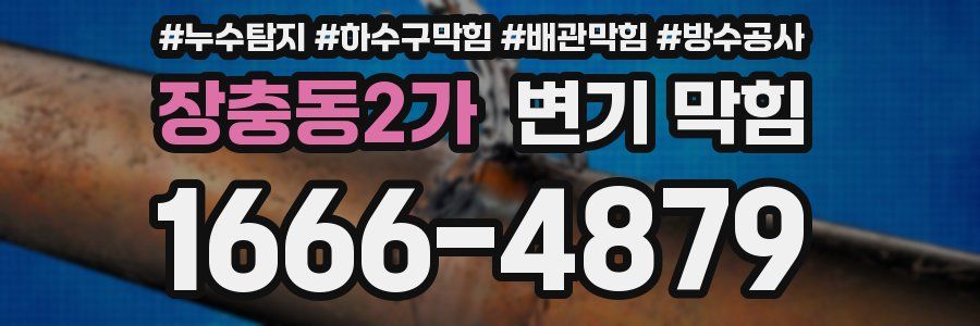 장충동2가 변기 막힘