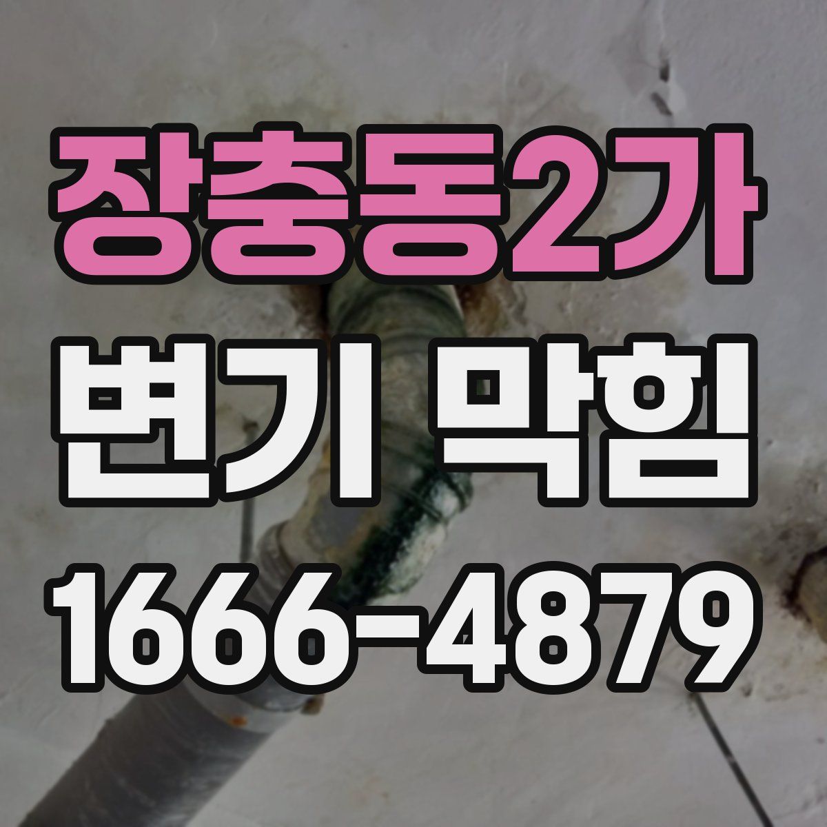 장충동2가 변기 막힘