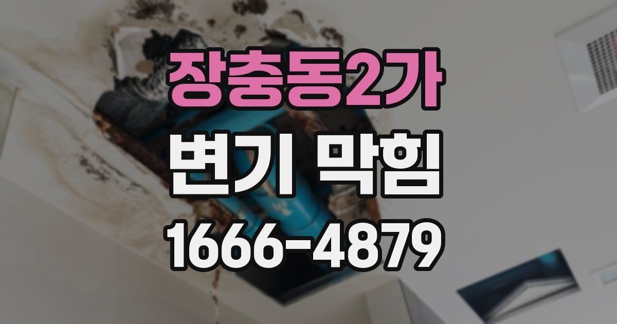 장충동2가 변기 막힘