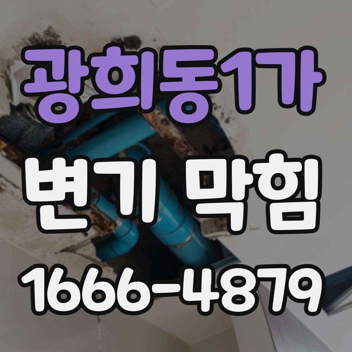 광희동1가 변기 막힘