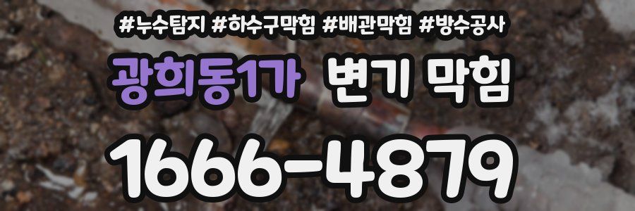 광희동1가 변기 막힘