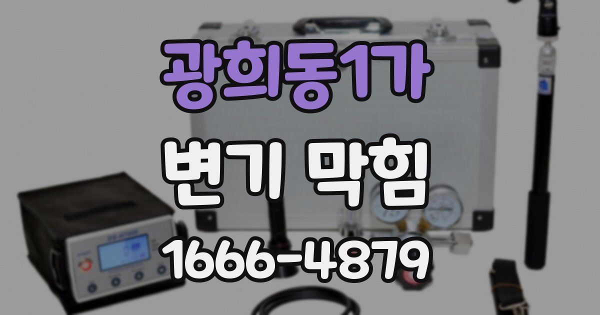 광희동1가 변기 막힘