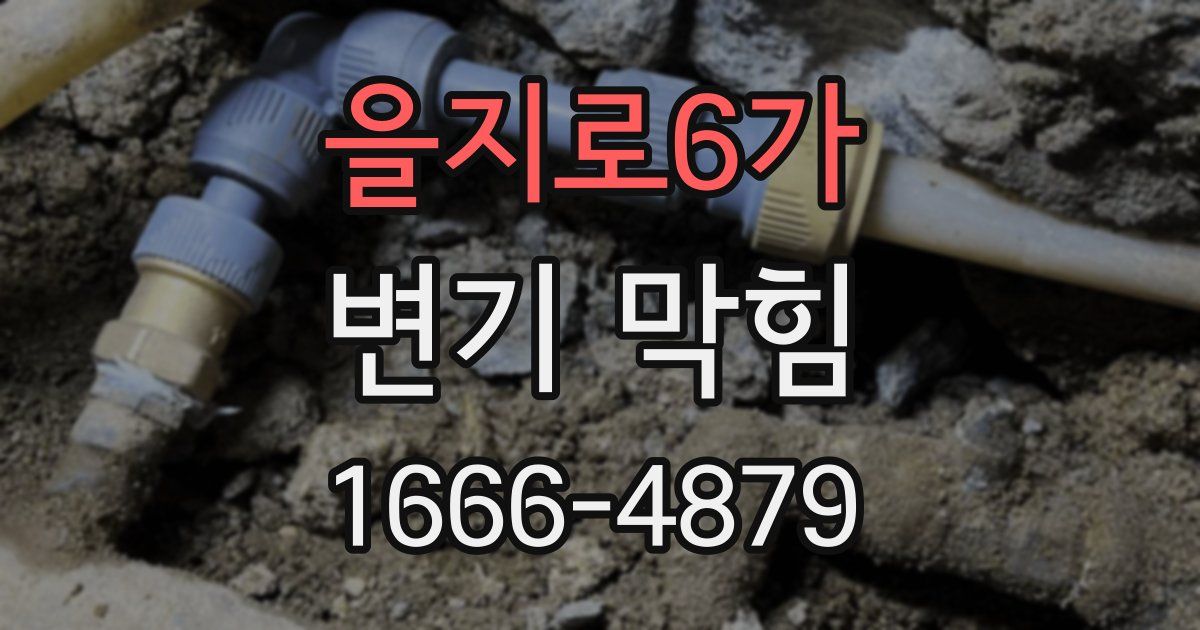 을지로6가 변기 막힘