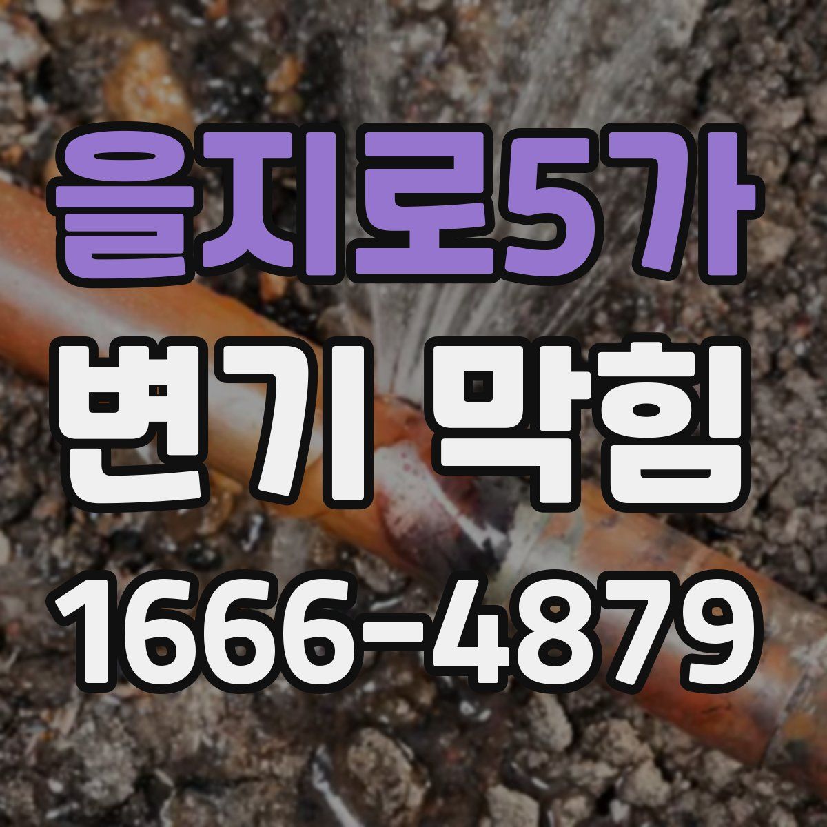 을지로5가 변기 막힘