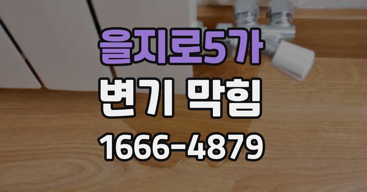 을지로5가 변기 막힘