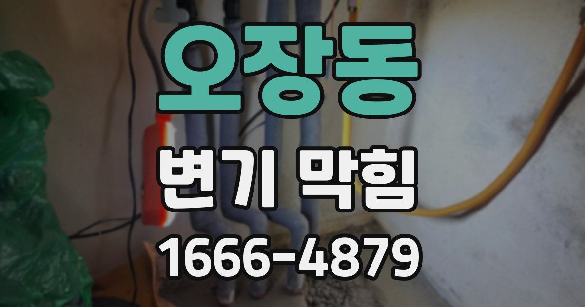 오장동 변기 막힘
