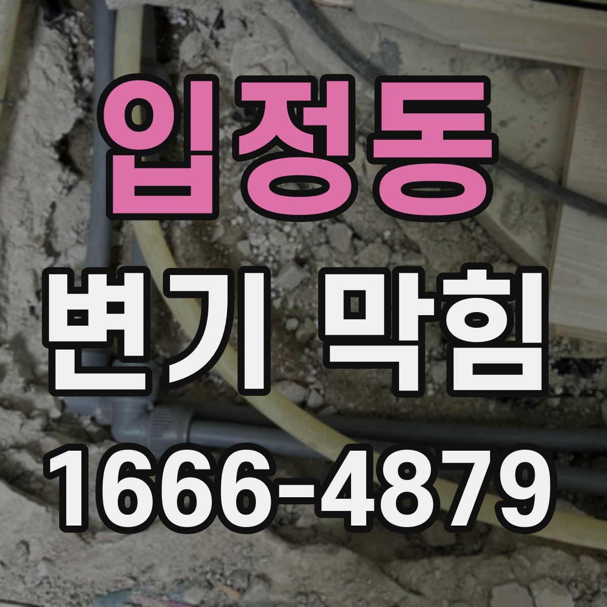 입정동 변기 막힘