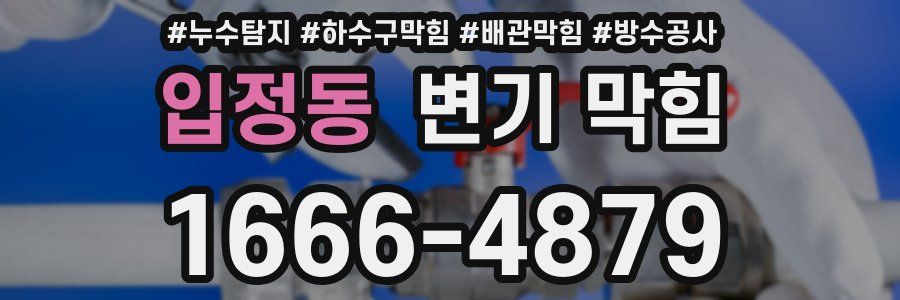 입정동 변기 막힘