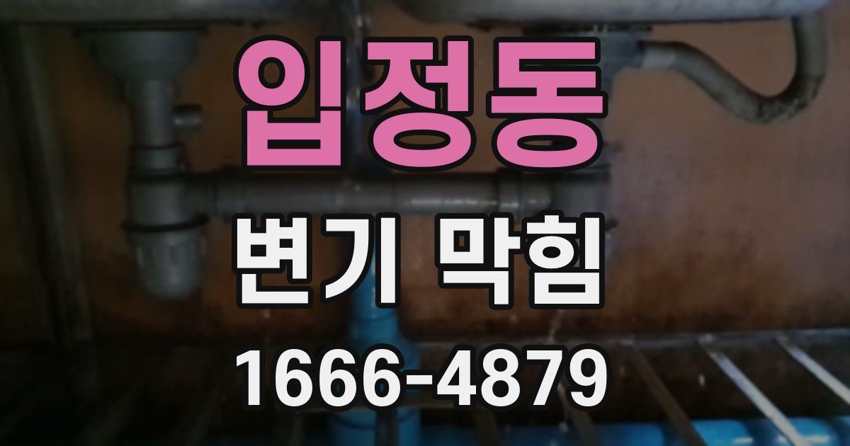 입정동 변기 막힘
