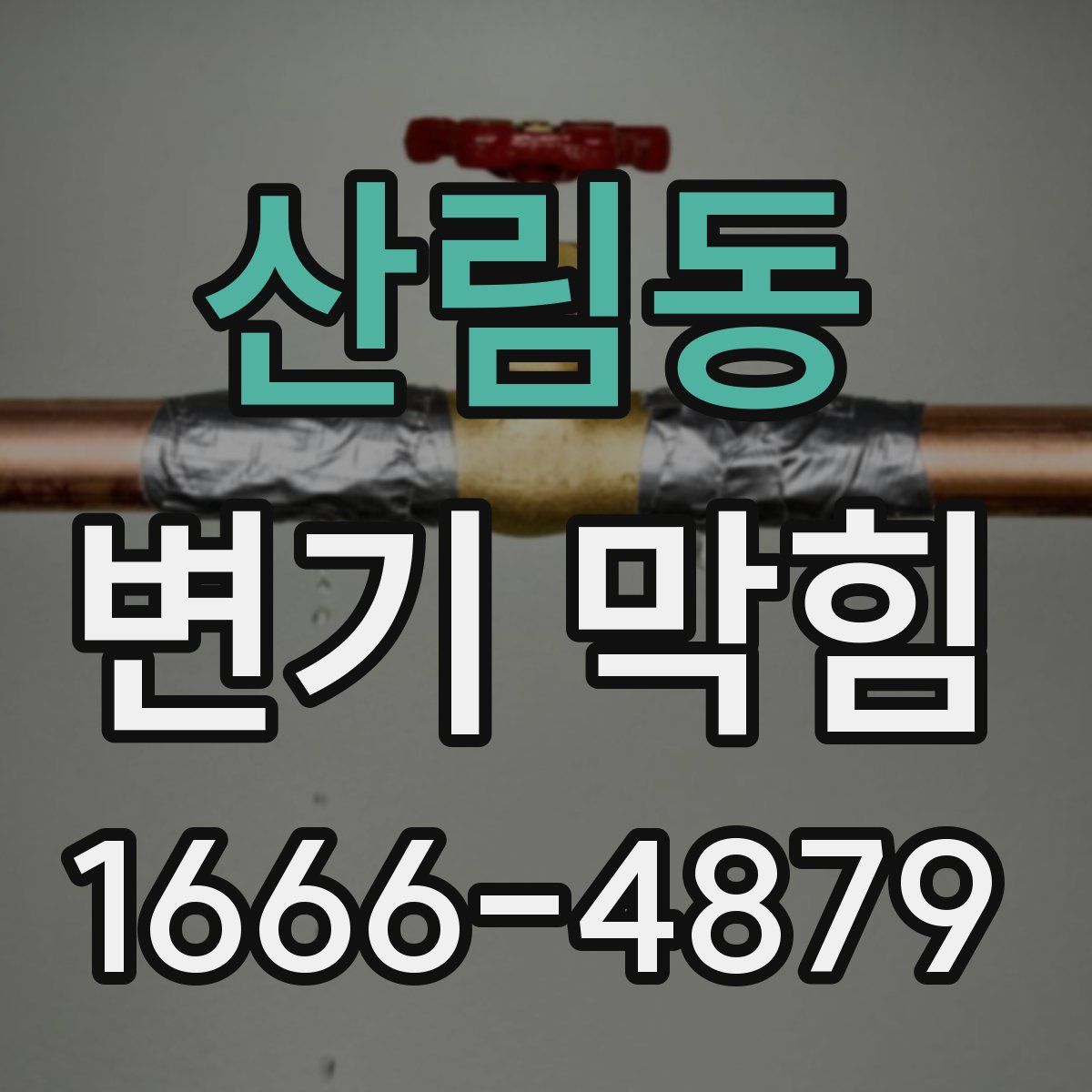 산림동 변기 막힘