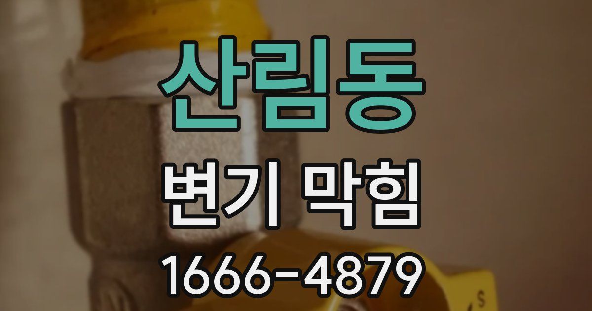 산림동 변기 막힘