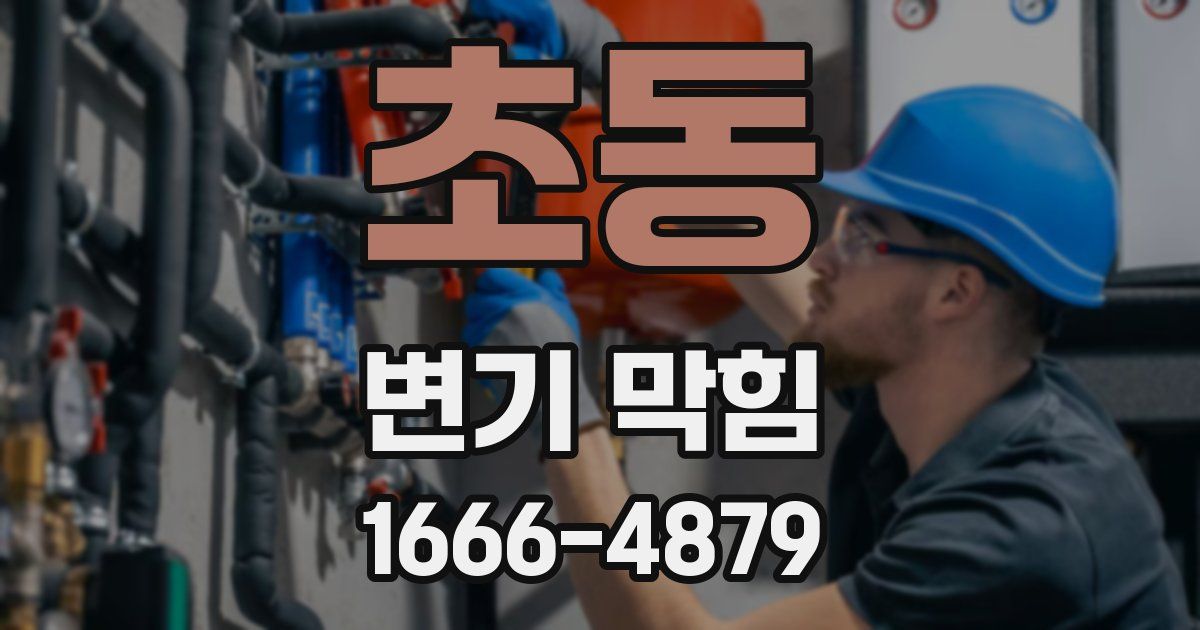 초동 변기 막힘
