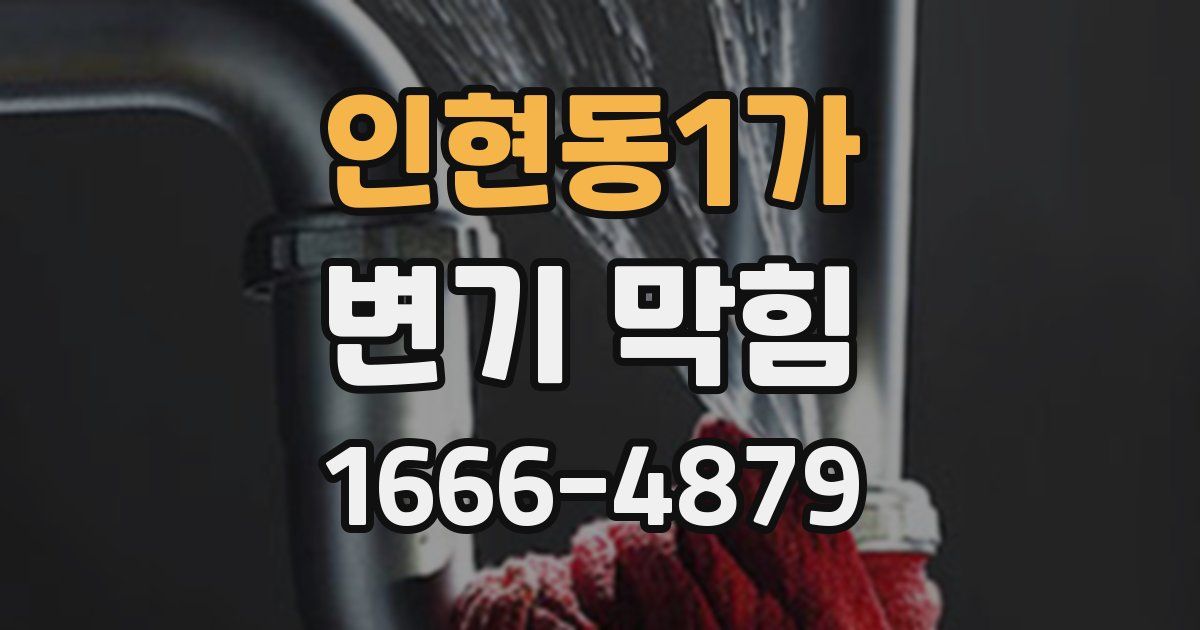 인현동1가 변기 막힘