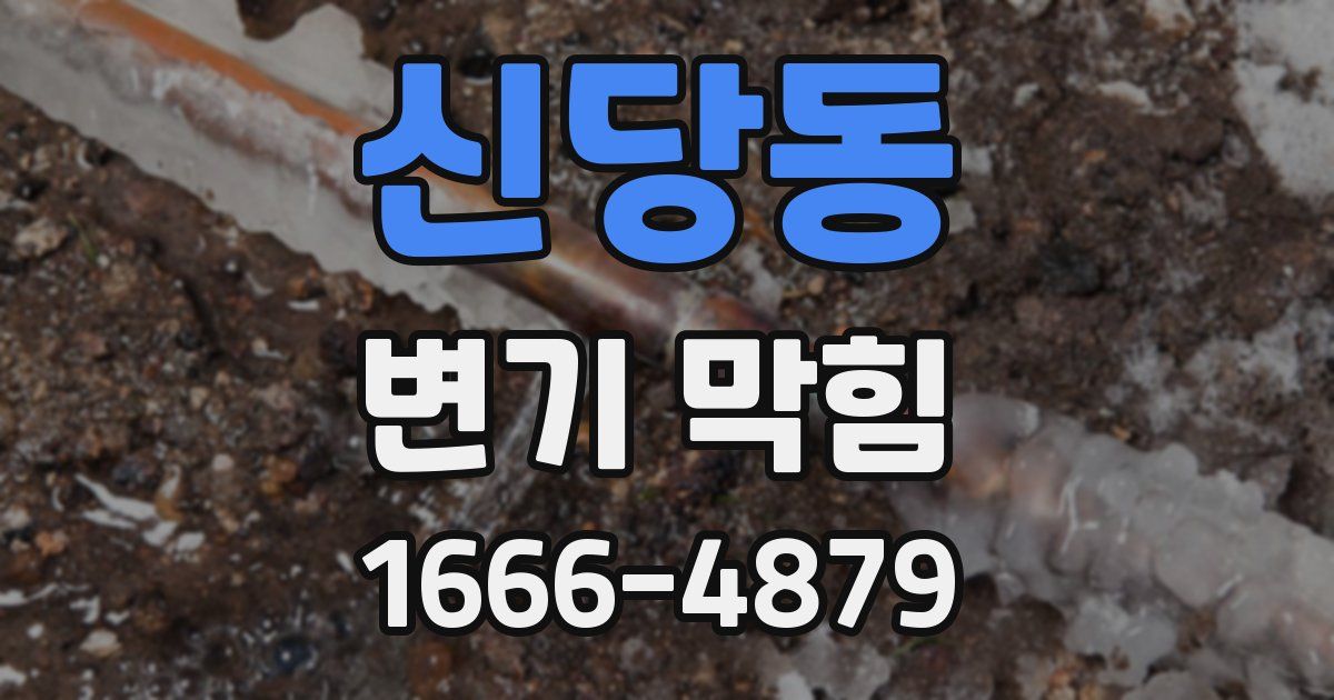 신당동 변기 막힘