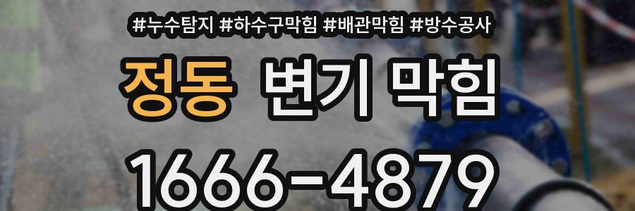정동 변기 막힘