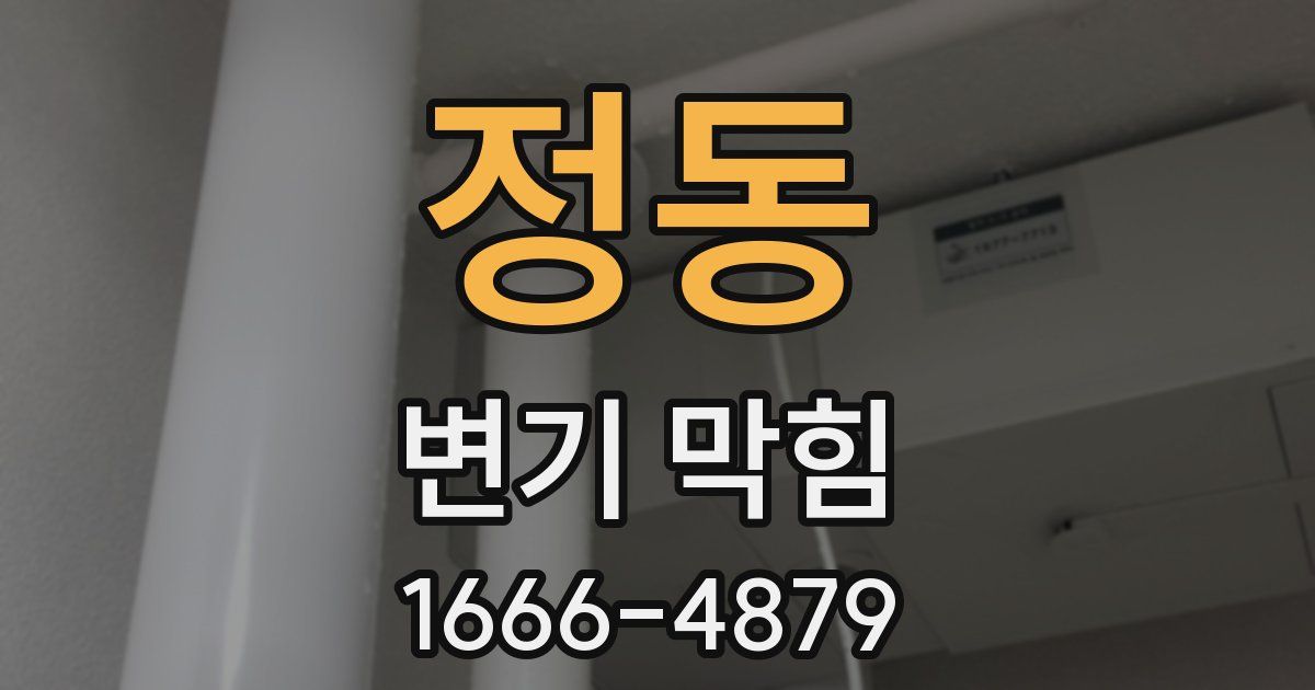 정동 변기 막힘