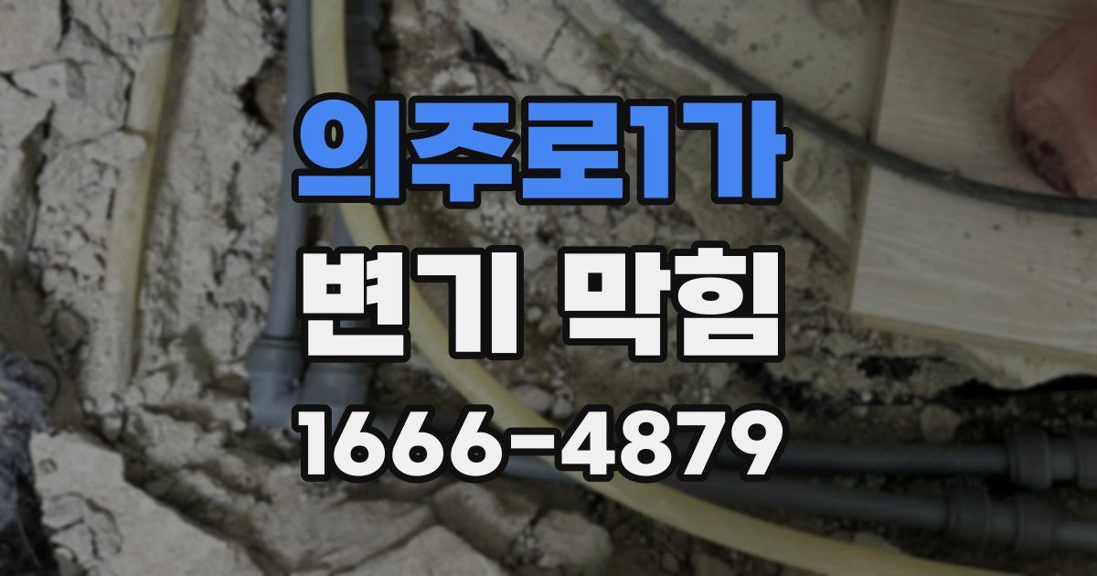 의주로1가 변기 막힘