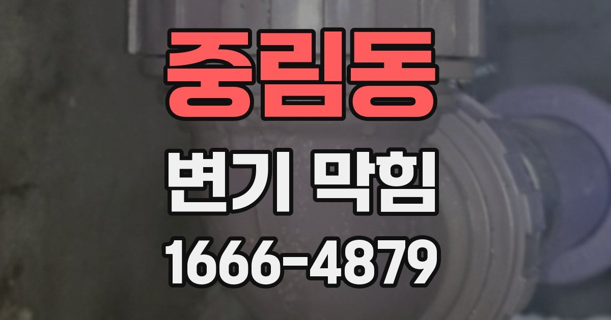 중림동 변기 막힘