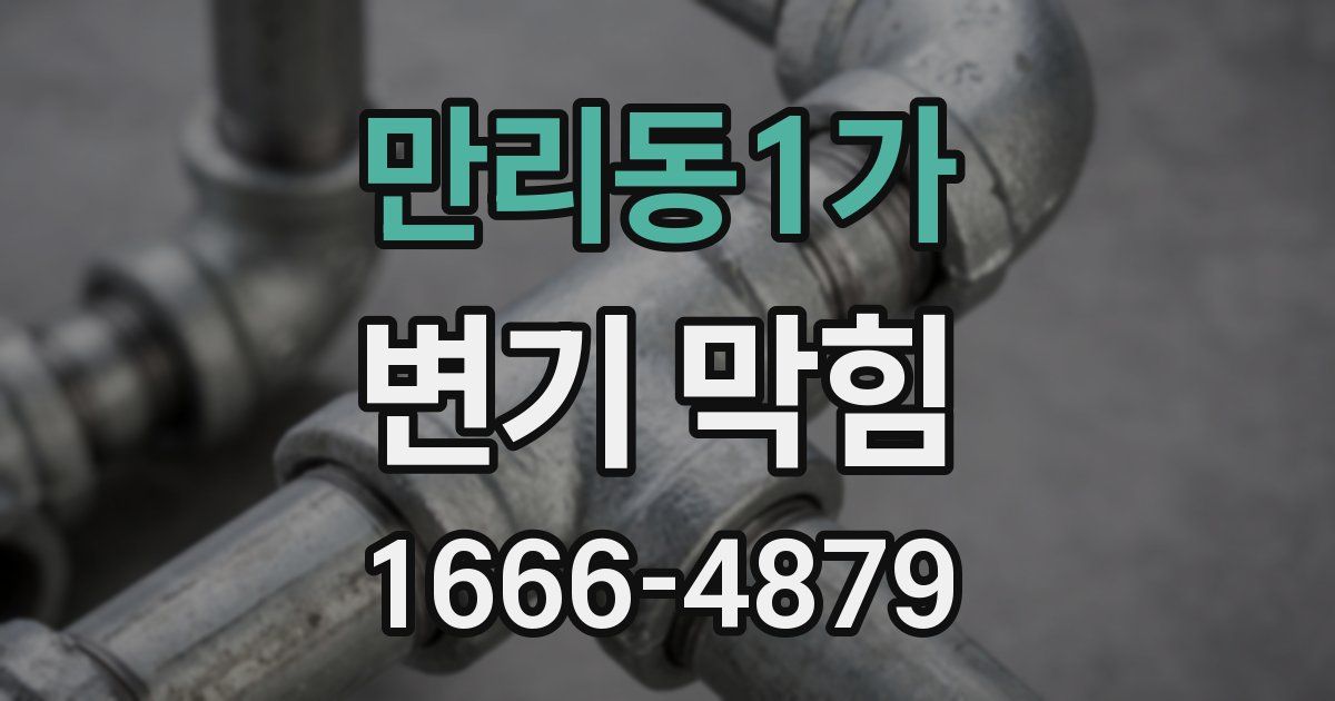 만리동1가 변기 막힘