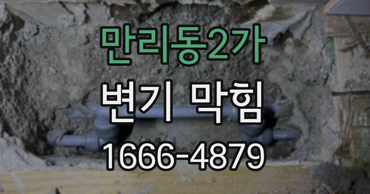만리동2가 변기 막힘