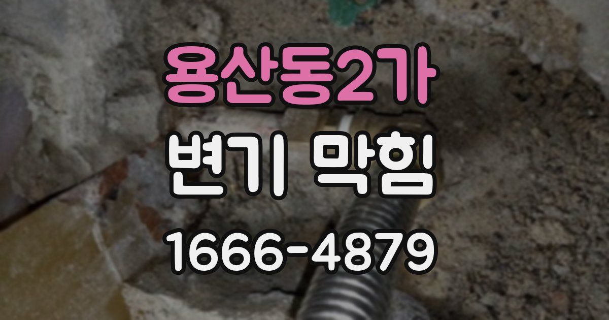용산동2가 변기 막힘