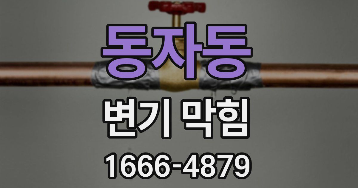 동자동 변기 막힘