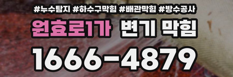 원효로1가 변기 막힘