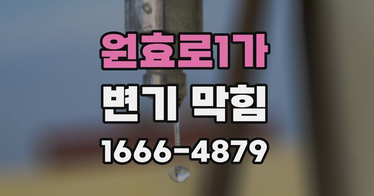 원효로1가 변기 막힘