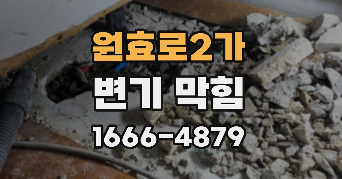 원효로2가 변기 막힘