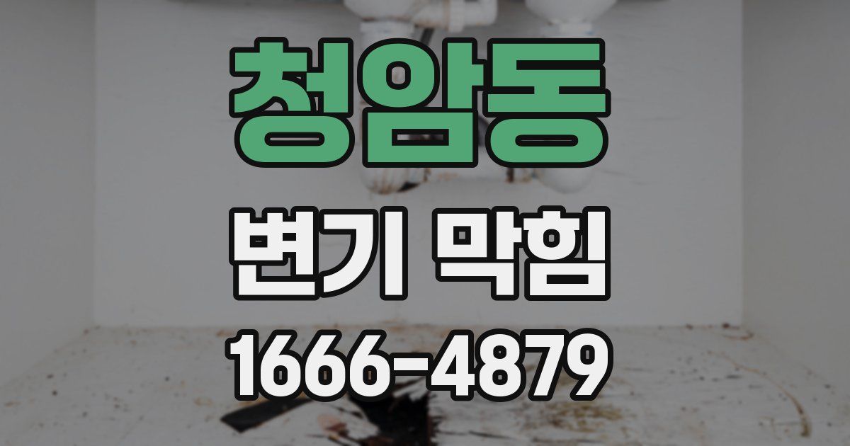 청암동 변기 막힘