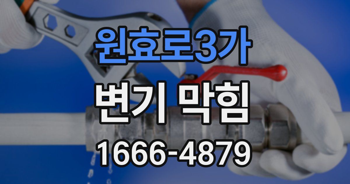 원효로3가 변기 막힘