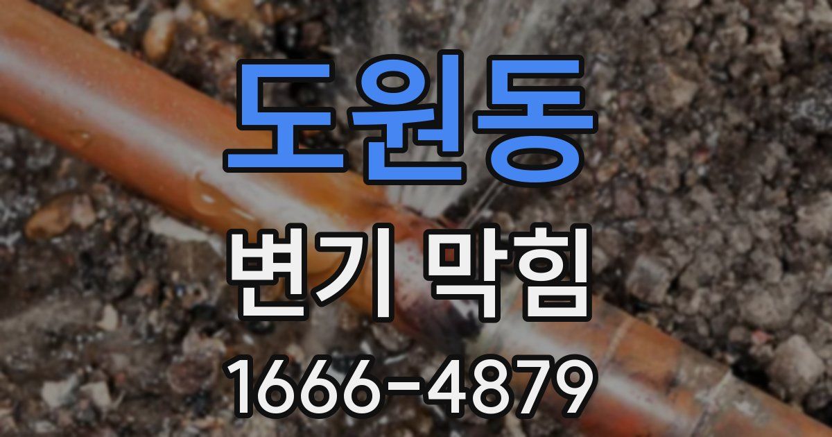 도원동 변기 막힘