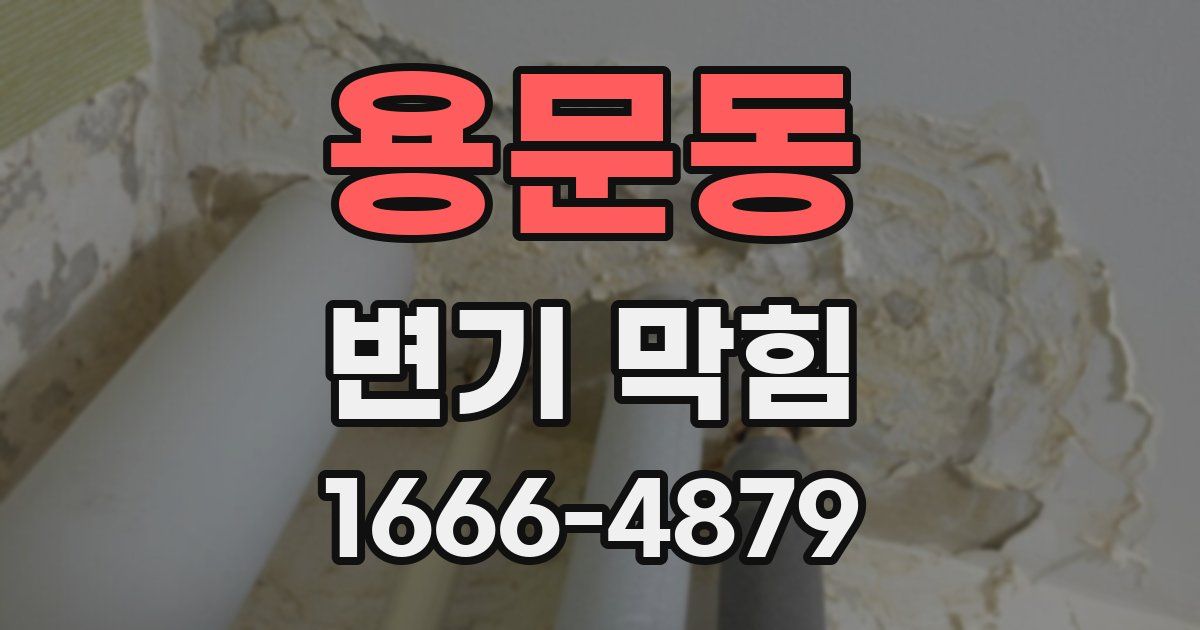 용문동 변기 막힘