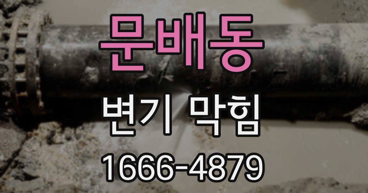 문배동 변기 막힘