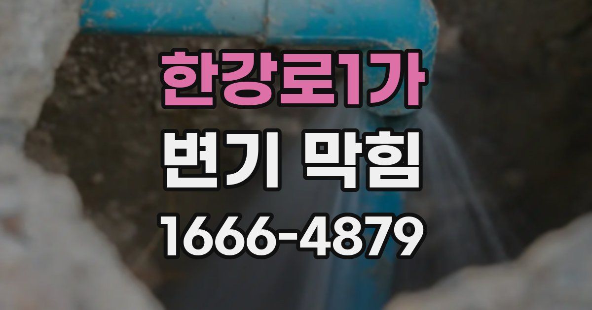 한강로1가 변기 막힘