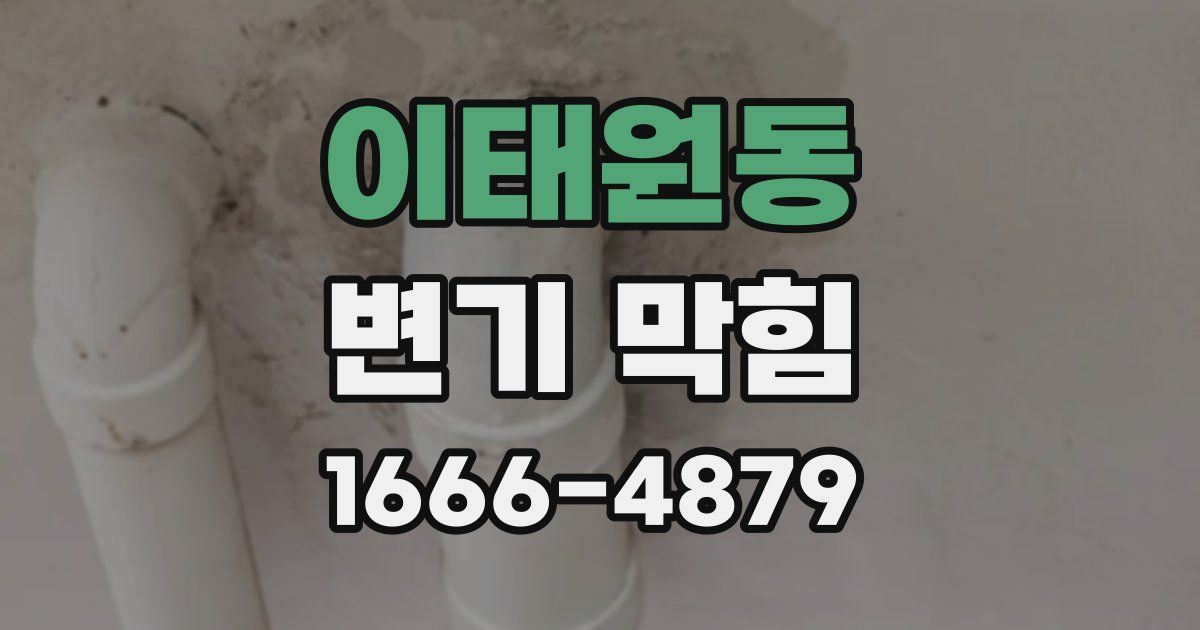 이태원동 변기 막힘