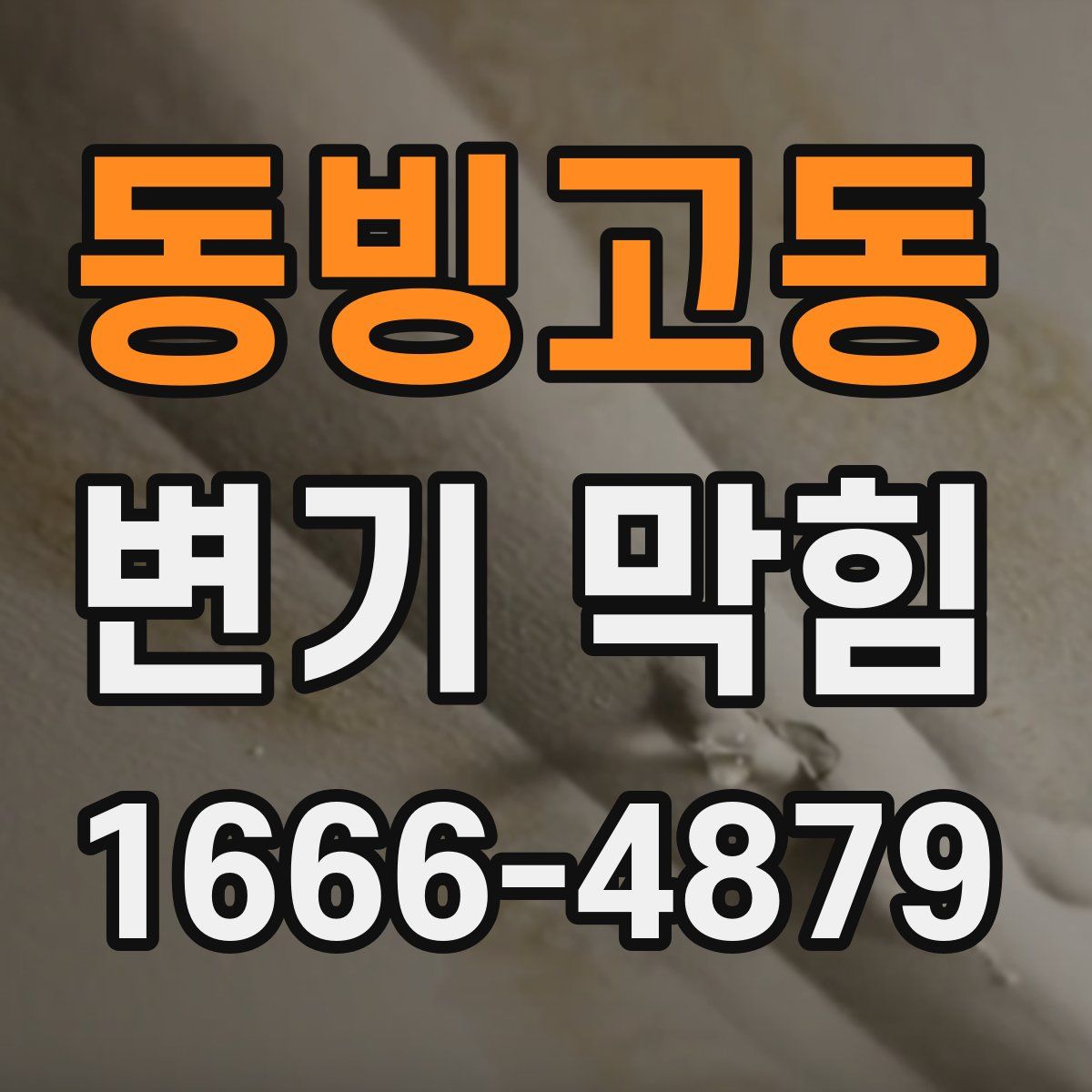 동빙고동 변기 막힘
