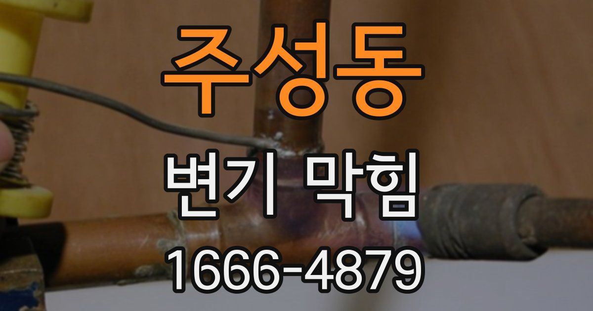 주성동 변기 막힘