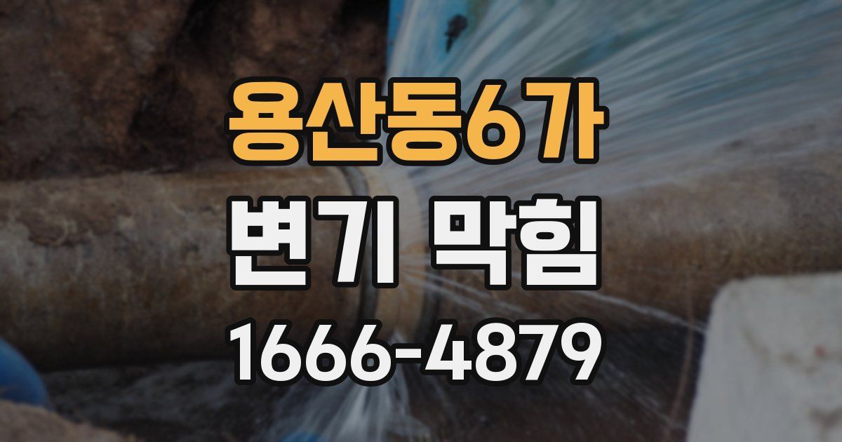 용산동6가 변기 막힘