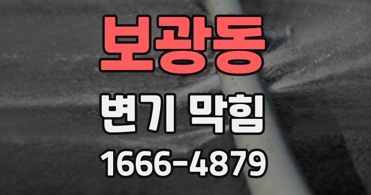 보광동 변기 막힘