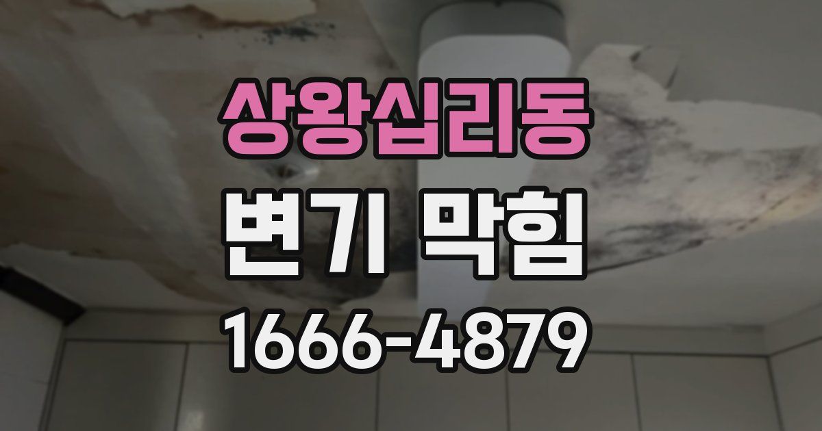 상왕십리동 변기 막힘
