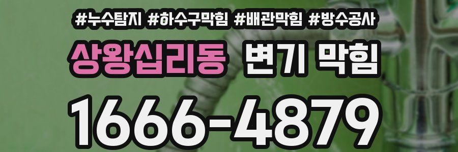 상왕십리동 변기 막힘