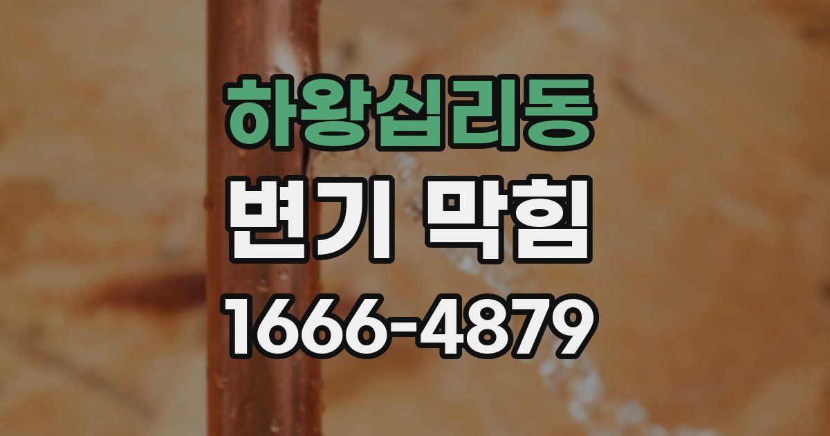 하왕십리동 변기 막힘