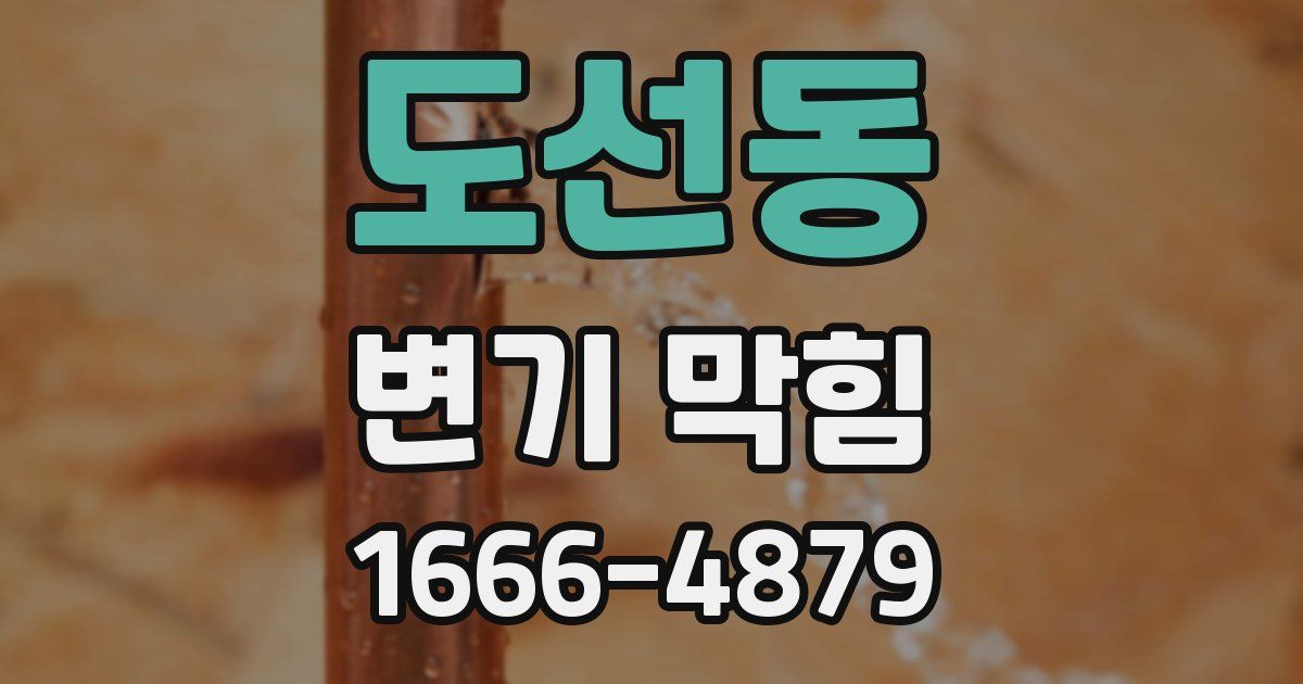도선동 변기 막힘