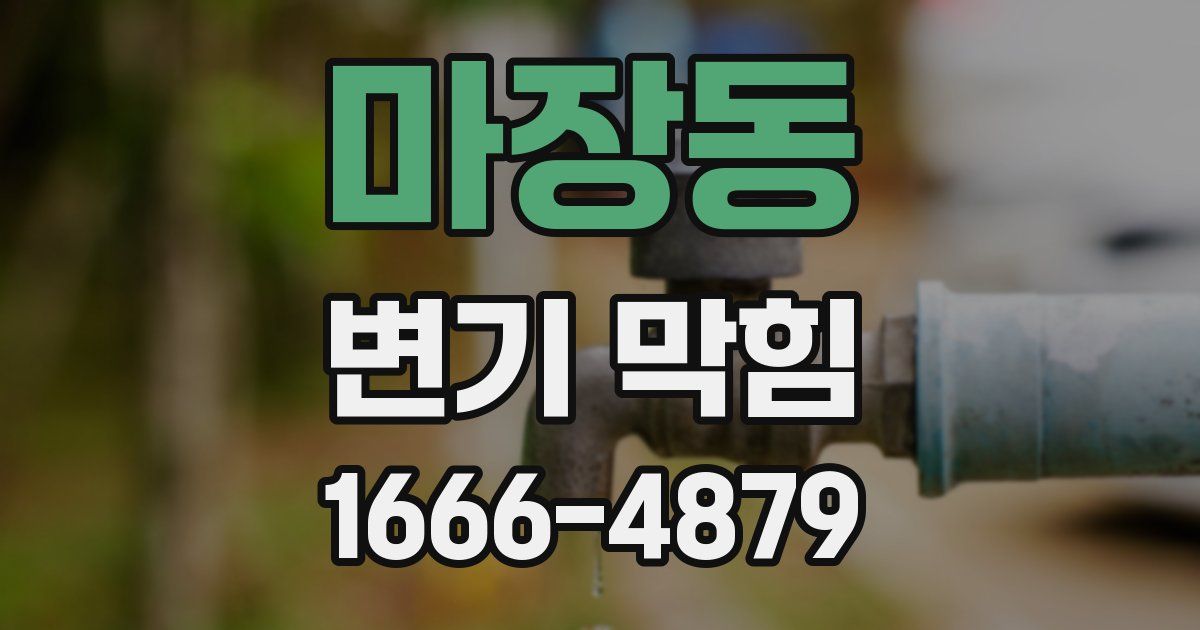 마장동 변기 막힘