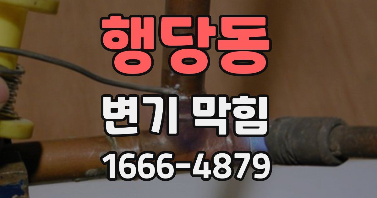 행당동 변기 막힘