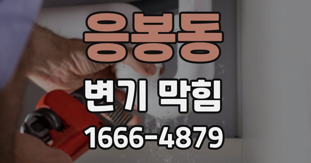 응봉동 변기 막힘