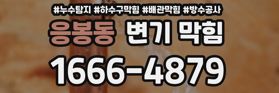 응봉동 변기 막힘
