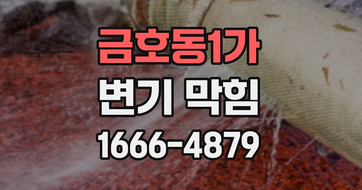 금호동1가 변기 막힘